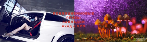 стаф Белокуриха