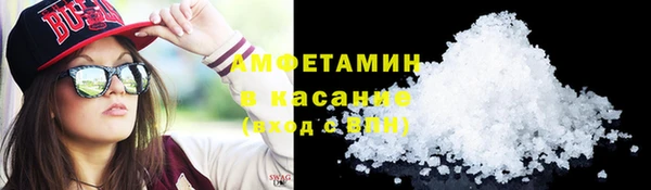 стаф Белокуриха