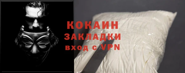 стаф Белокуриха
