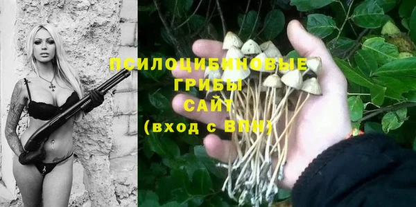 амф Белоозёрский