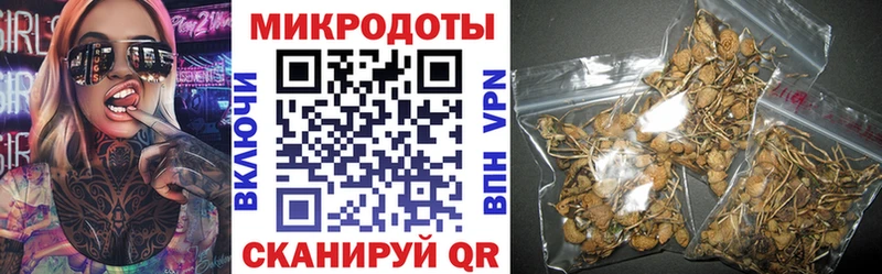 где купить наркотик  Кстово  Галлюциногенные грибы Psilocybe 
